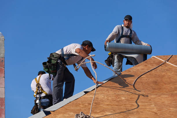 Best Roof Gutter Cleaning  in Spring Mount, PA